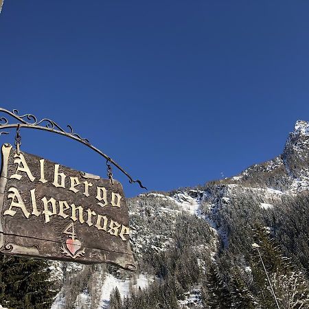 Albergo Alpenrose Ski&Bike Mountain Hotel Gressoney-Saint-Jean Exteriér fotografie
