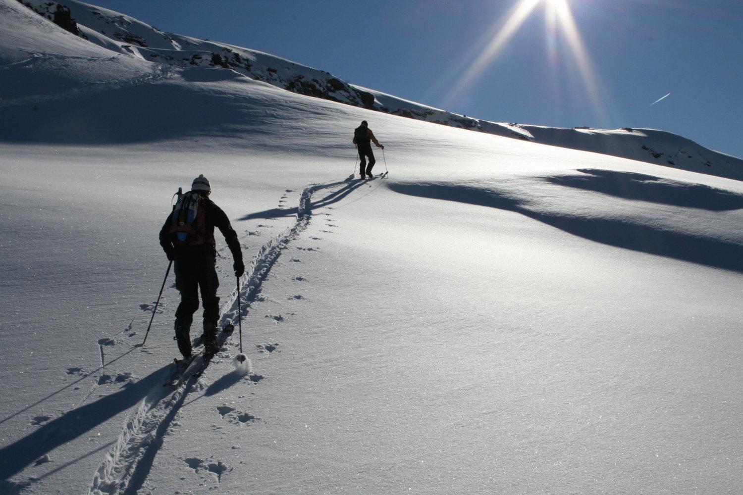 Albergo Alpenrose Ski&Bike Mountain Hotel Gressoney-Saint-Jean Exteriér fotografie
