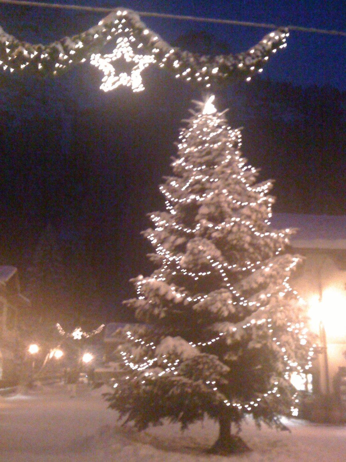Albergo Alpenrose Ski&Bike Mountain Hotel Gressoney-Saint-Jean Exteriér fotografie