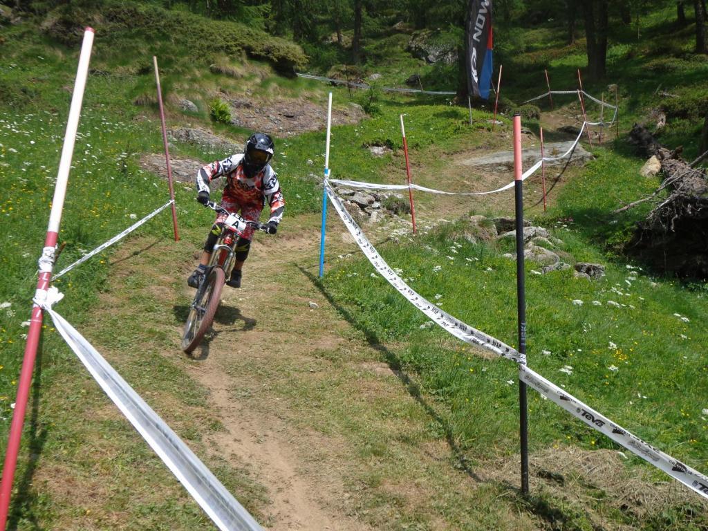 Albergo Alpenrose Ski&Bike Mountain Hotel Gressoney-Saint-Jean Exteriér fotografie