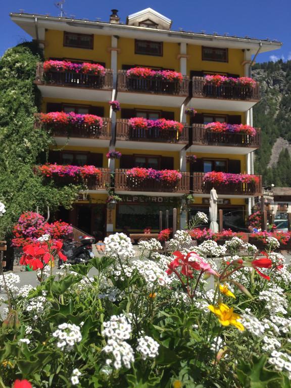 Albergo Alpenrose Ski&Bike Mountain Hotel Gressoney-Saint-Jean Exteriér fotografie
