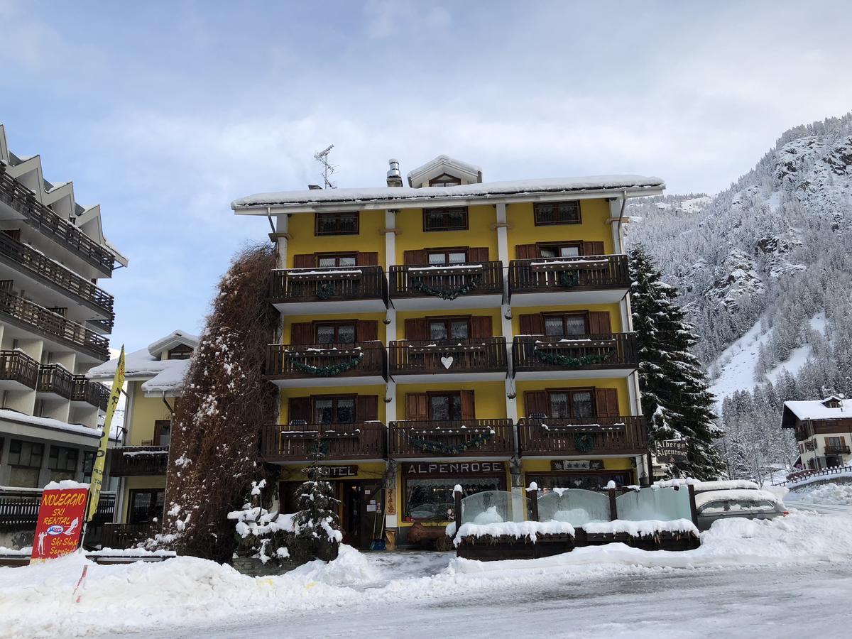 Albergo Alpenrose Ski&Bike Mountain Hotel Gressoney-Saint-Jean Exteriér fotografie