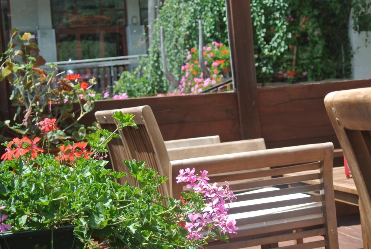 Albergo Alpenrose Ski&Bike Mountain Hotel Gressoney-Saint-Jean Exteriér fotografie