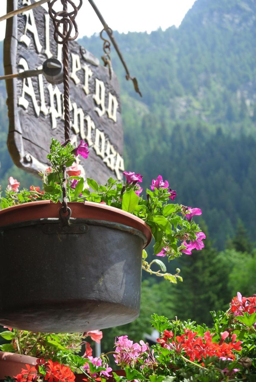 Albergo Alpenrose Ski&Bike Mountain Hotel Gressoney-Saint-Jean Exteriér fotografie