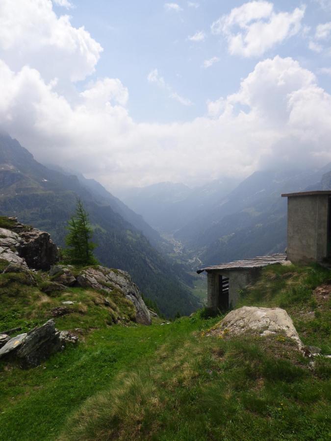 Albergo Alpenrose Ski&Bike Mountain Hotel Gressoney-Saint-Jean Exteriér fotografie